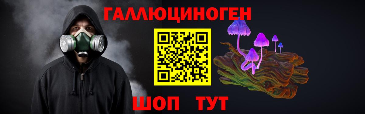 Галлюциногенные грибы прущие грибы Ставрополь